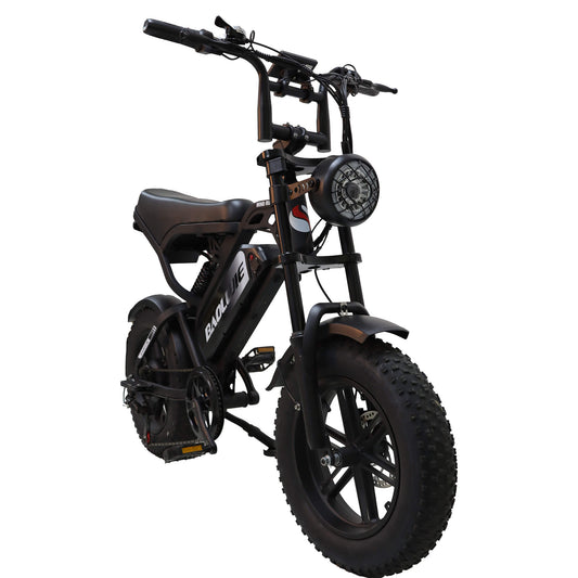 BAOLUJIE F2 - 16" Fat Tire Electric Mini Bike | 500W Full Suspension Moped Style E - Bike (48V 13Ah) - BAOLUJIE