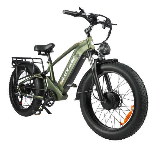 BAOLUJIE DP2401 - 2000W Dual Motor AWD E - Bike | 48V 23Ah Long Range & 26" Fat Tire - BAOLUJIE