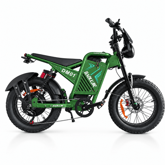 Baolujie DM01 Hyper-Performance Ebike 60V 2000W 53MPH Top Speed - BAOLUJIE