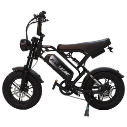 BAOLUJIE F2 - 16" Fat Tire Electric Mini Bike | 500W Full Suspension Moped Style E - Bike (48V 13Ah) - BAOLUJIE