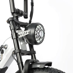 BAOLUJIE DP2033 - 2000W Dual Motor AWD Cargo E - Bike | 48V 30Ah Battery - BAOLUJIE
