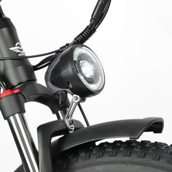 BAOLUJIE Electric Bike DP2603: Dual Motor 1500W 26' Fat Tire 40mph - BAOLUJIE