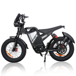 Baolujie DM01 Hyper - Performance Ebike 60V 2000W 53MPH Top Speed - BAOLUJIE