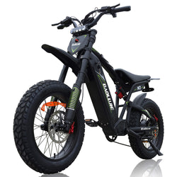 BAOLUJIE M2 - 2000W 60V Electric Dirt Bike | 53 MPH & Full Suspension - BAOLUJIE