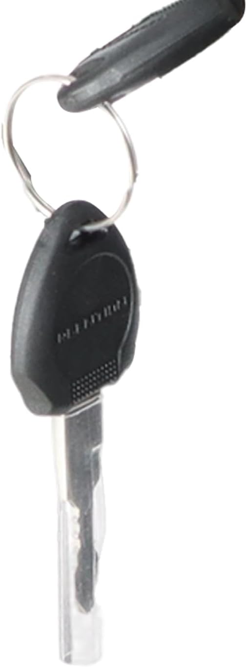 A Pair of 2602 E-Bike Keys 2602 Electric Bicycle