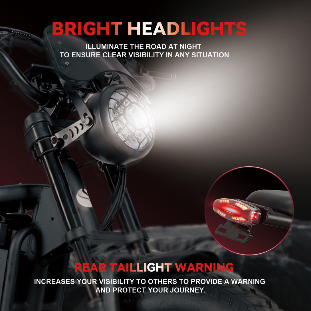 (b - side - dm01)DM01PRO Electric Bike for Adults 52MPH 60V 30AH Battery 20" x4 Fat Tire All Terrain Electric Bicycle Full Suspension E Bike ShiMN 7 Speed Ebikes for Night Riding Commuting - baolujieebikes