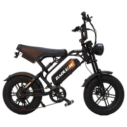 BAOLUJIE F2 - 16" Fat Tire Electric Mini Bike | 500W Full Suspension Moped Style E - Bike (48V 13Ah) - BAOLUJIE