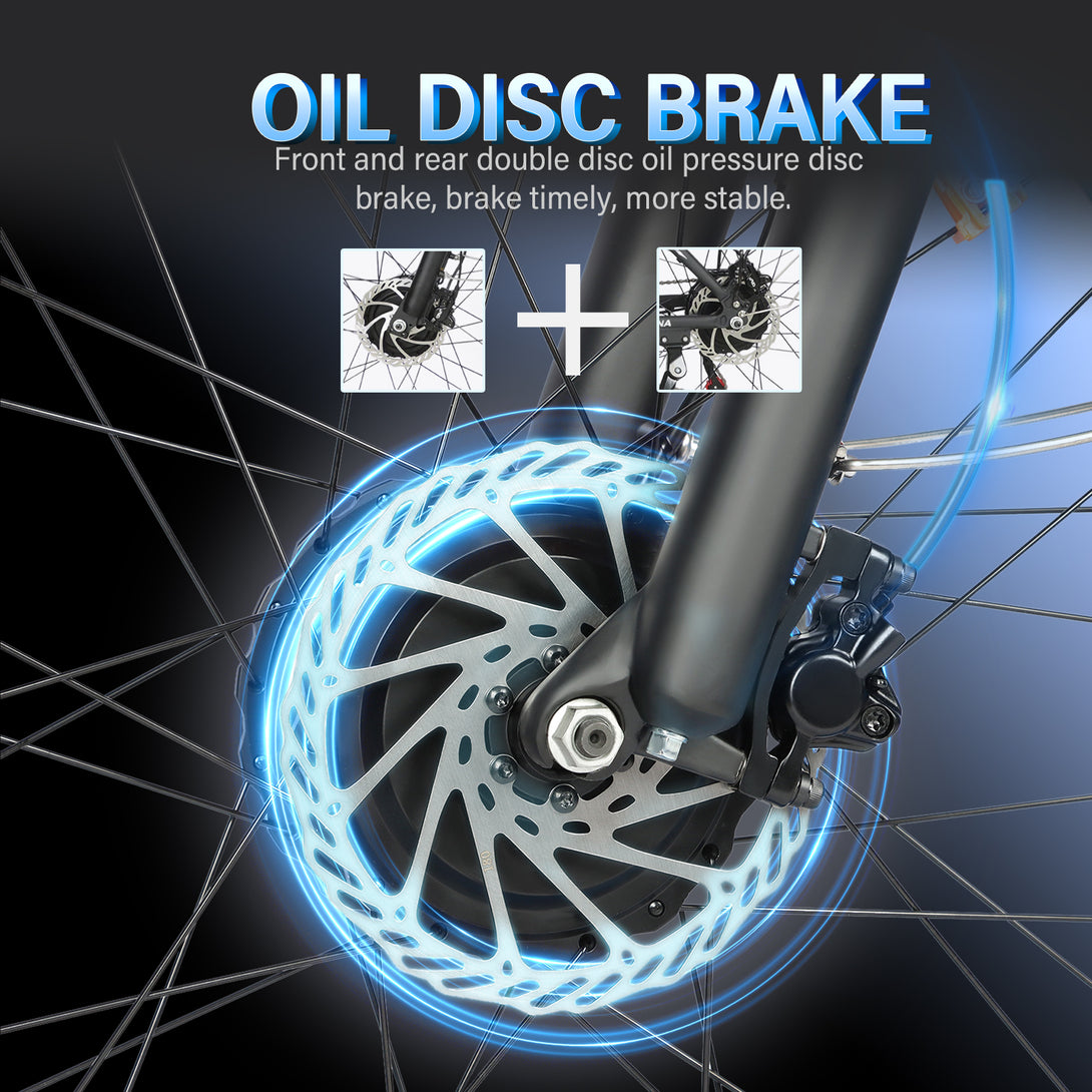 Baolujie 2602 Dual Motor Electric Mountain Bike 48V 23AH Max Speed 55KM/H 26*4'' Fat tire Adult off - road - baolujieebikes