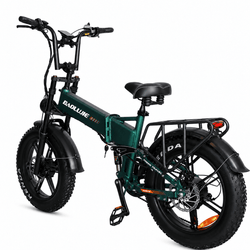 BAOLUJIE D2 Foldable Dual Motors Ebike | 48V 20Ah Battery - BAOLUJIE