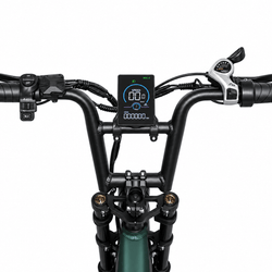BAOLUJIE D2 Foldable Dual Motors Ebike | 48V 20Ah Battery - BAOLUJIE