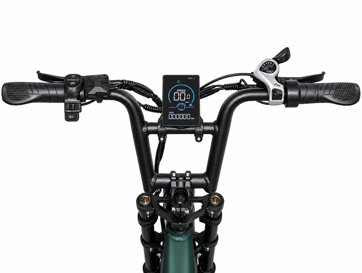 BAOLUJIE D2 Foldable Dual Motors Ebike | 48V 20Ah Battery - BAOLUJIE